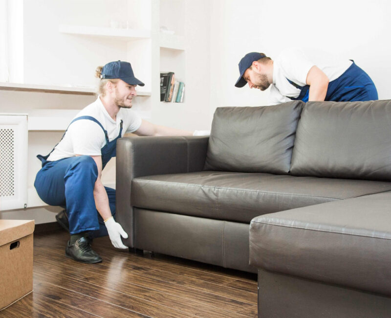 E-House Movers Team